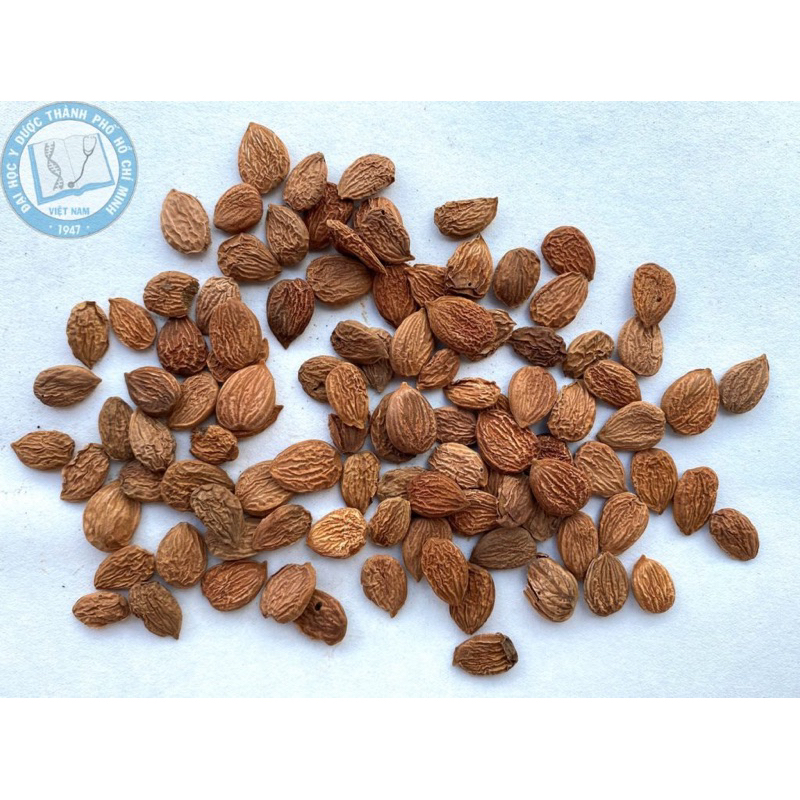 500GR Đào Nhân Khô, Thơm, Đẹp Hàng Loại 1