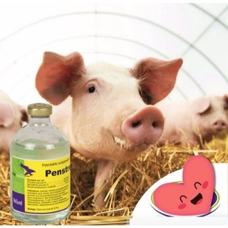 Thuốc thú y Interchemie Penstrep 400LA chai 100ml trị hô hấp viêm khớp trên chó mèo gia súc gia cầm