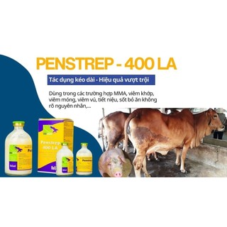 Thuốc thú y Interchemie Penstrep 400LA chai 100ml trị hô hấp viêm khớp trên chó mèo gia súc gia cầm