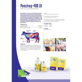 Thuốc thú y Interchemie Penstrep 400LA chai 100ml trị hô hấp viêm khớp trên chó mèo gia súc gia cầm