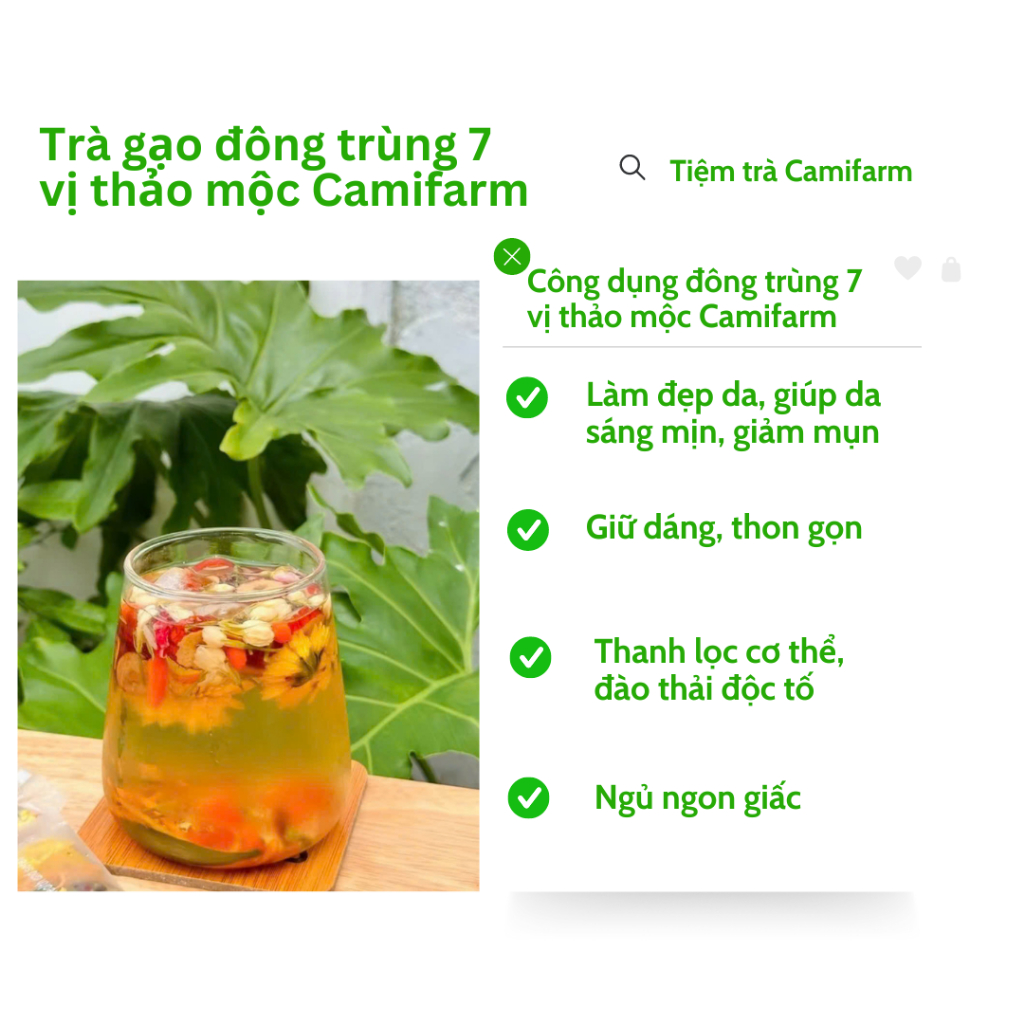 Ảnh Trà Đông Trùng Hạ Thảo 7 Vị Thảo Mộc Camifarm Thanh Lọc, Đẹp Da, Giữ Dáng, Ngủ Ngo 1