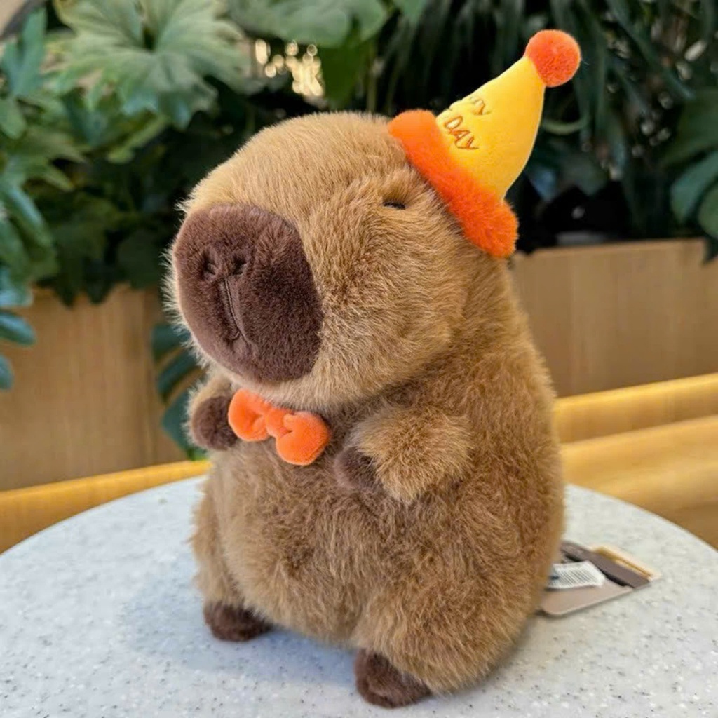 Capybara Sinh Nhật Gấu Bồng Sinh Nhật Chuột Capybara Mũ Sinh Nhật Quà Tặng Ý Nghĩa Capybara Quà Tặng Dễ Thương