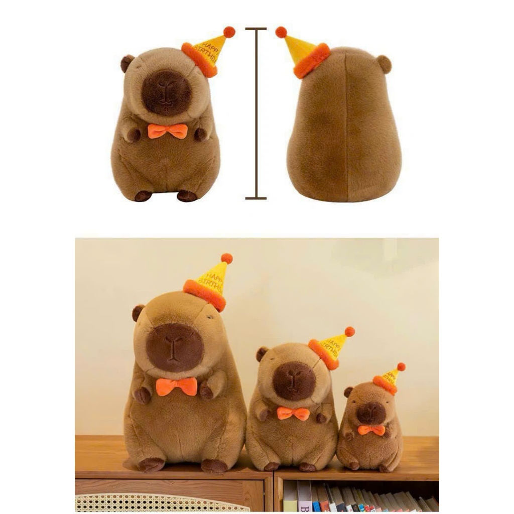 Capybara Sinh Nhật Gấu Bồng Sinh Nhật Chuột Capybara Mũ Sinh Nhật Quà Tặng Ý Nghĩa Capybara Quà Tặng Dễ Thương