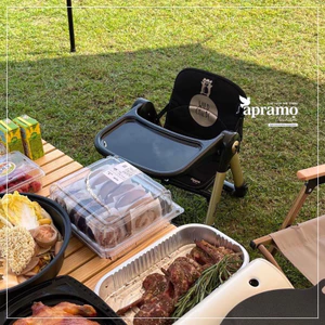 Ghế ăn dặm gấp gọn Flippa Apramo full box- full phụ kiện