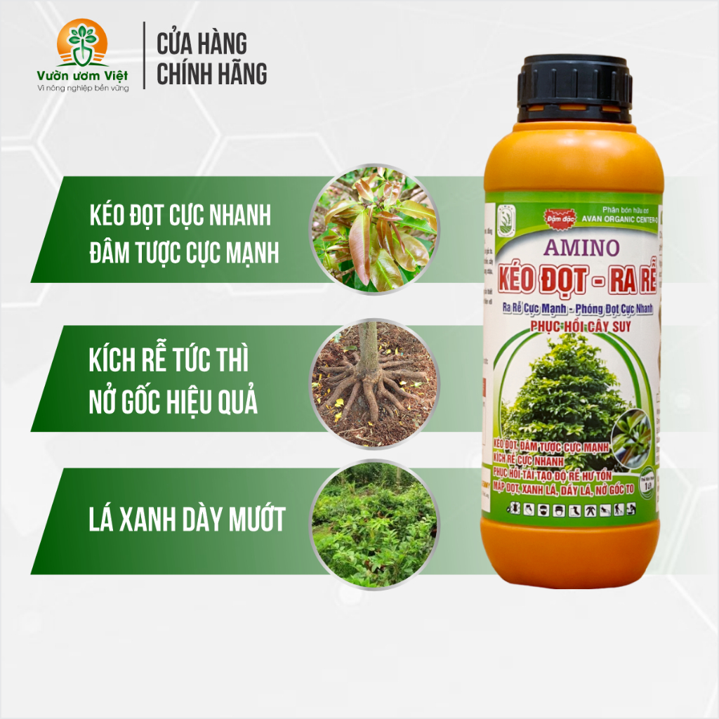 [Mua 3 tặng 1]Phân bón chuyên Amino Kéo Đọt Ra Rễ đa dưỡng chất, lớn nhanh, rễ nhiều, mập đọt - 1L