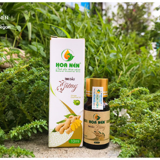 Tinh dầu Gừng nguyên chất - Hoa Nén - Hương nồng ấm, tăng đề kháng, ngâm chân -10ml