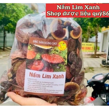 ⚡️SALE⚡️500g Nấm Lim xanh rừng Tây Bắc chuẩn rừng tự nhiên hỗ trợ bênh gout