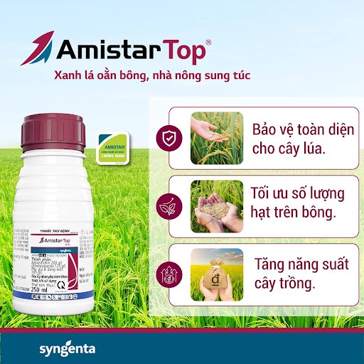 Thuốc trừ bệnh Amistar Top 325SC trị rỉ sắt, thán thư, lem lép hạt, chết non, phần trắng - 100ml