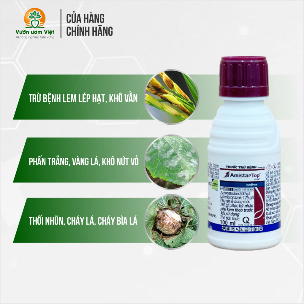 Thuốc trừ bệnh Amistar Top 325SC trị rỉ sắt, thán thư, lem lép hạt, chết non, phần trắng - 100ml