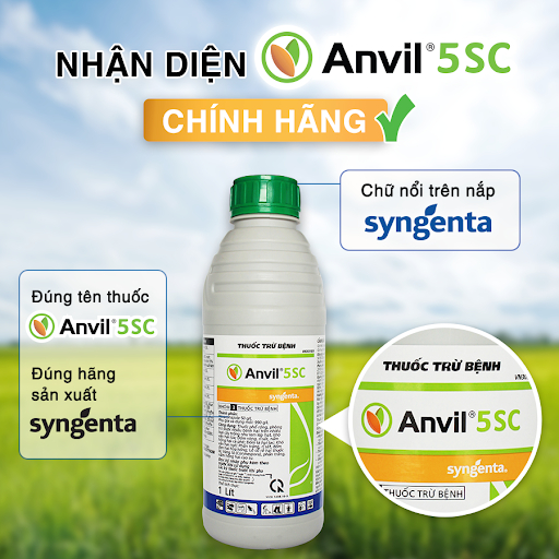 Thuốc trừ bệnh Anvil 5SC Syngenta - trừ bệnh phổ rộng, thương hiệu cao cấp - 1000ml