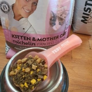 Hạt mèo Mister Donut T1 và T2 Dành Cho Mèo Trưởng Thành Và Mèo Con Bổ Sung Dinh Dưỡng Túi 1,8KG Pet Kool