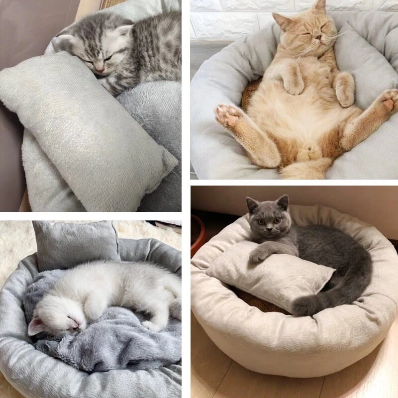 Combo đệm và gối nằm cho chó mèo