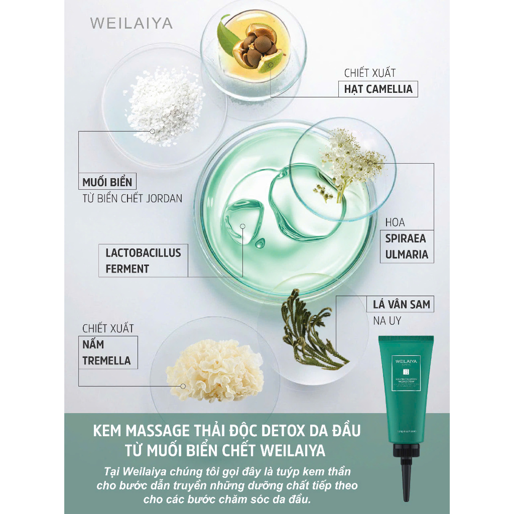 Ảnh Kem massage Detox Da Đầu Weilaiya 100g - Sử dụng trước khi gội 4