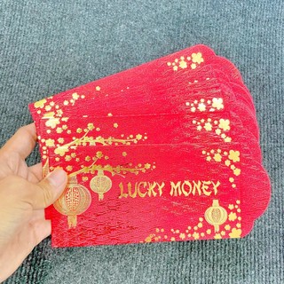 🌸 Sale TẾT🌸 Combo 10 Bao Lì Xì Tết Lucky Money , Bao lì xì hình Ngựa Xì Lì Tết 2026 lịch sự đẹp mắt trang trọng