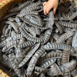 Trái bồ kết khô 100g (Dầu gội dược liệu, dầu gội đầu bồ kết)