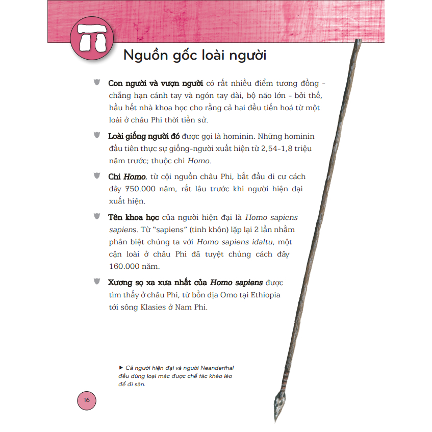 Ảnh Sách - Bách khoa thư lịch sử - Từ tiền sử đến thời đại (bìa cứng) 3