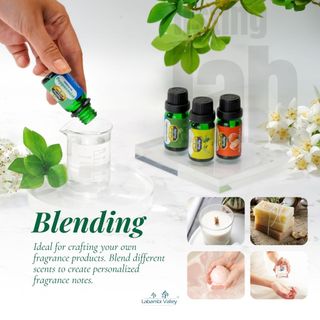 Tinh dầu sả java Labambi Valley chiết xuất 100% tinh dầu thiên nhiên 100ml