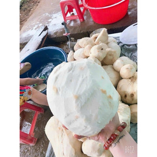 Bột Sâm Tố Nữ  Say Nhuyễn Hộp 500g [MÓN QUÀ TRỜI TẶNG CHO CHỊ EM PHỤ NỮ] Giúp Cân Bằng Nôi Tiết Tố, Đẹp Da