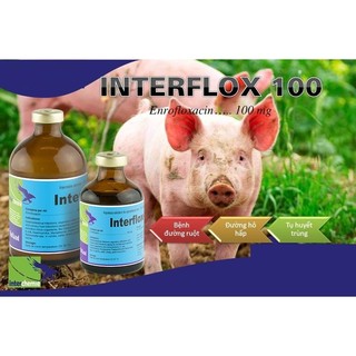 Thuốc thú y Interchemie INTERFLOX 100 50/100ml trị hô hấp tiêu hóa trên chó mèo gia súc gia cầm