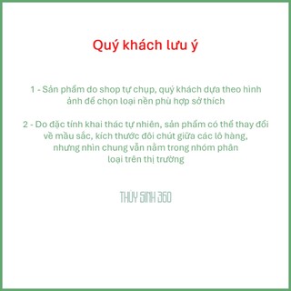Cát, Sỏi, Sạn Suối, Sạn Gốm...vv, Trải Nền Bể Cá Thủy Sinh - Đã Xử Lý Sạch