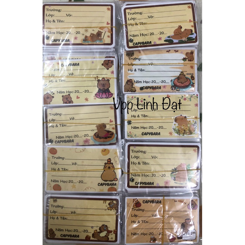 Set 8c nhãn vở Capybara, Kuromi, Gấu Dâu có decal dính sẵn, set 8 nhãn ...