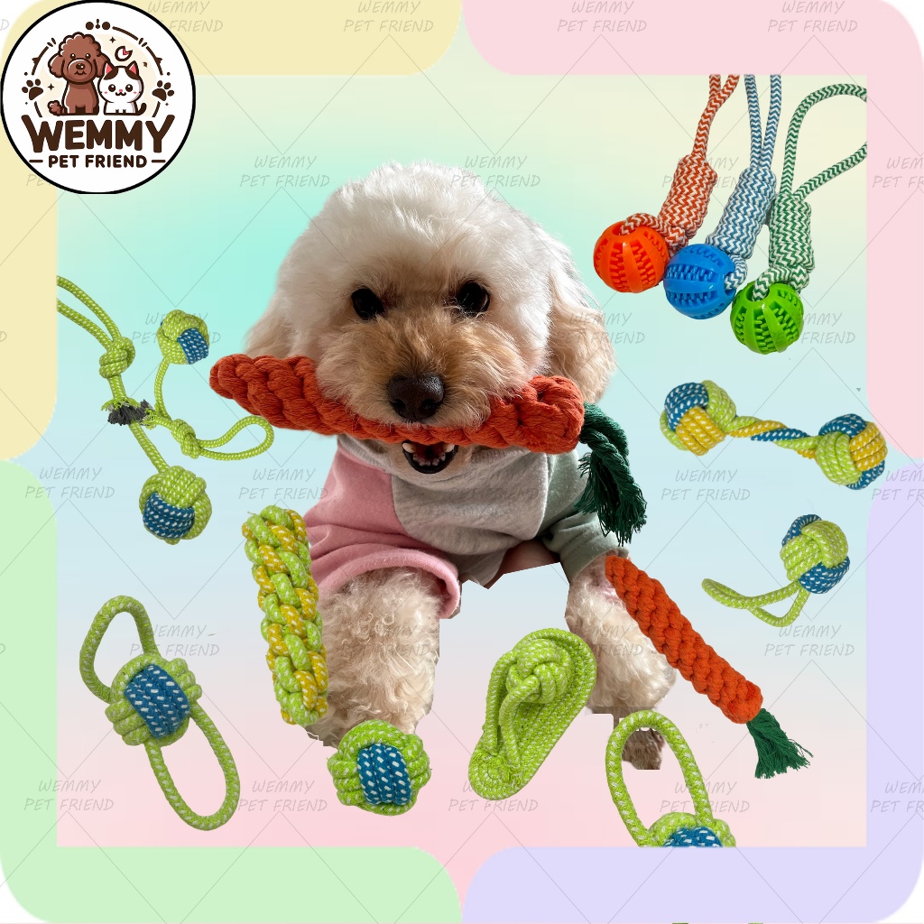 Đồ Chơi Cho Chó Gặm Bằng Dây Thừng DC106 | Wemmy Pet Friend | Shopee ...