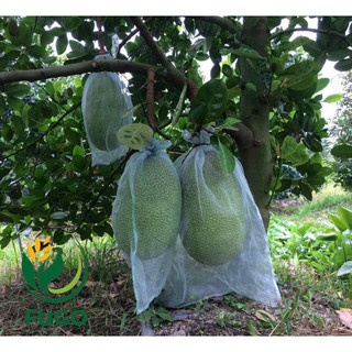 Phân bón hữu cơ Pháp TTT FUGO  Can 5 lít kích rễ, xanh lá, to trái, phục hồi cây