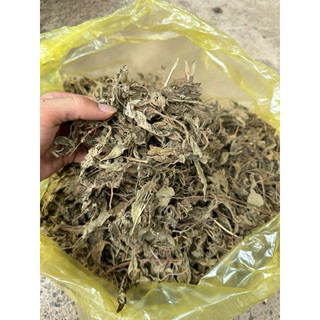 Lá Hoắc Hương Khô 1kg Nguyên Chất | Dược Liệu Khô Chọn Lọc | Thảo Dược Đạt Huyền