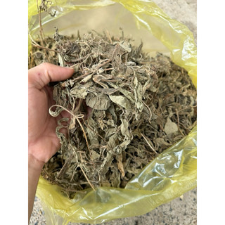 Lá Hoắc Hương Khô 1kg Nguyên Chất | Dược Liệu Khô Chọn Lọc | Thảo Dược Đạt Huyền