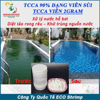 1kg TCCA 90, Clo Viên 2gram Xử lý Nước Hồ Bơi Nước Sinh Hoạt, Diệt Tảo Rong Rêu, Khử Trùng Nhà Cửa