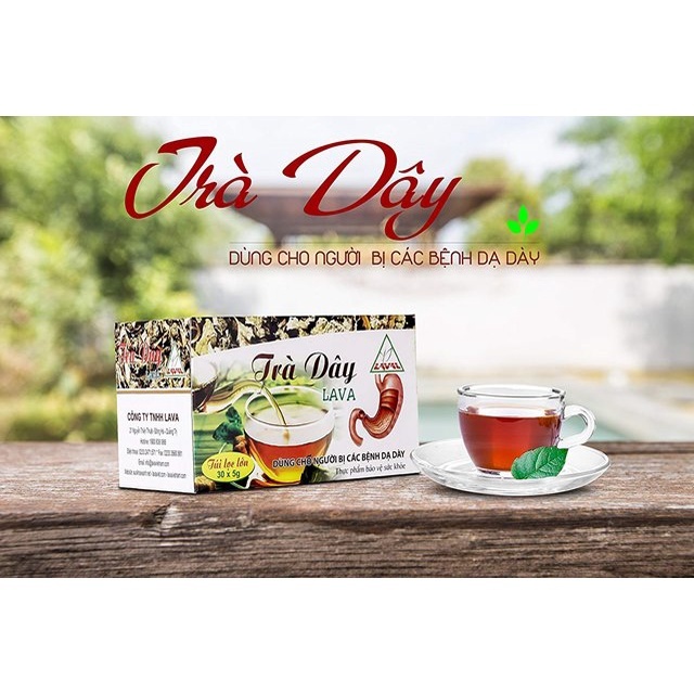 TRÀ DÂY LAVA DÙNG CHO NGƯỜI BỊ BỆNH DẠ DÀY