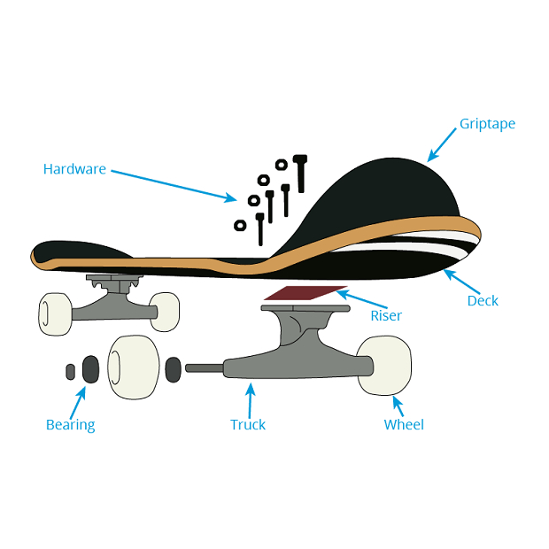 Ván trượt gỗ SKATEBOARD 4 bánh có in hình hoạt họa (Nhập khẩu Đài Loan) - Chịu Tải Trọng Đến 120Kg