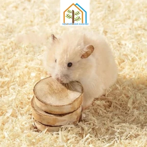 Mùn Gỗ Mới Bào Từ Gỗ Thông Cao Cấp Có Mùi Tự Nhiên, An Toàn Cho Thú Cưng - Mùn Cưa Nội Thất Nhà Xanh 82
