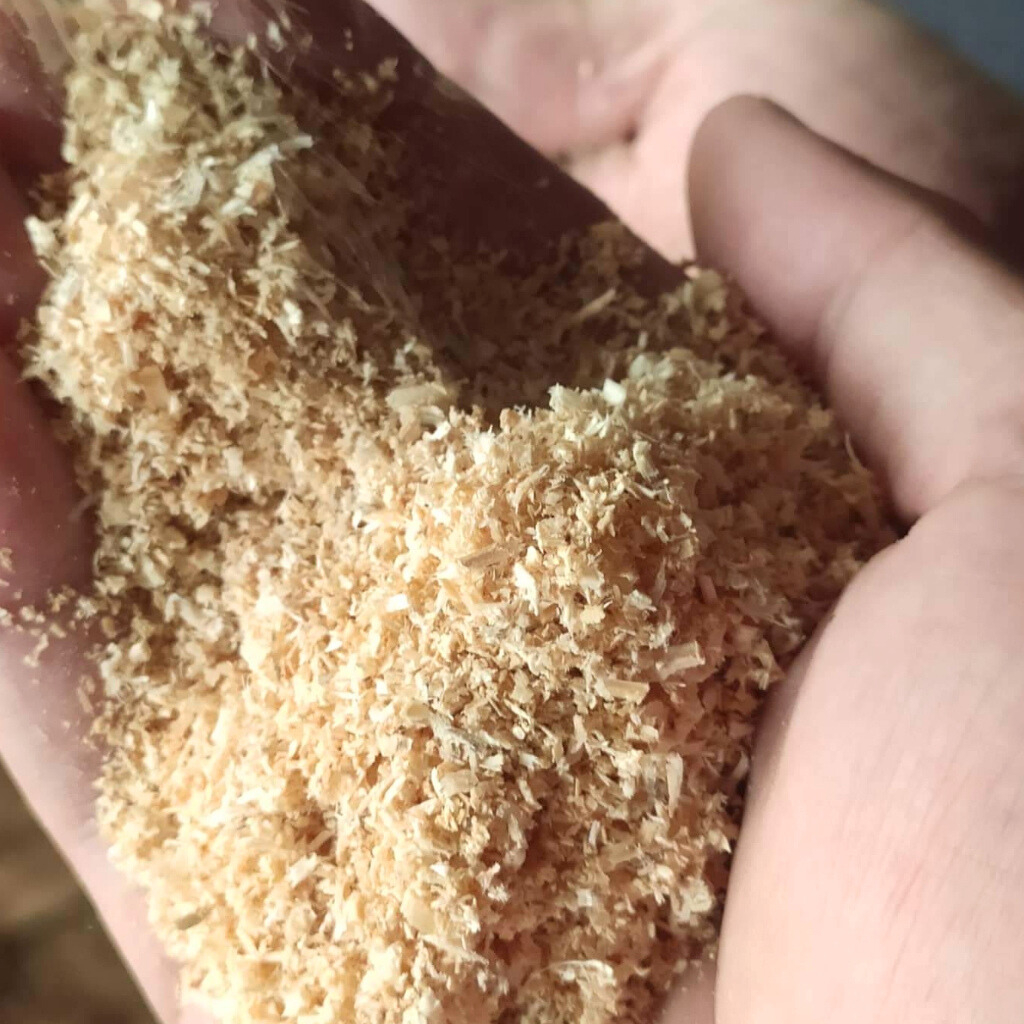 Mùn Gỗ Mới Bào Từ Gỗ Thông Cao Cấp Có Mùi Tự Nhiên, An Toàn Cho Thú Cưng -  Mùn Cưa Nội Thất Nhà Xanh 82