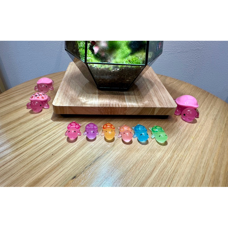 Túi Mù Rùa Mini 2,5cm Phát Sáng DIY | Shopee Việt Nam
