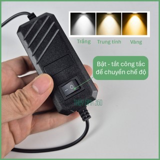 Đèn Rọi 3 Chế Độ Màu Coco - Chất Liệu Nhôm - Sử Dụng Cho Bể Thủy Sinh, Biotop, Bán Cạn, Tiểu Cảnh
