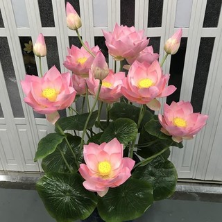 Cành Sen Nở 3 Bông 💥HÀNG CAO CẤP💥 Hoa Sen Nhiều Màu,  Trang Trí Phòng Khách, Văn Phòng, 2 Bông Nở, 1 Nụ, 3 Lá