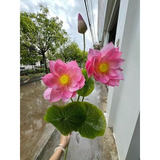 Cành Sen Nở 3 Bông 💥HÀNG CAO CẤP💥 Hoa Sen Nhiều Màu,  Trang Trí Phòng Khách, Văn Phòng, 2 Bông Nở, 1 Nụ, 3 Lá