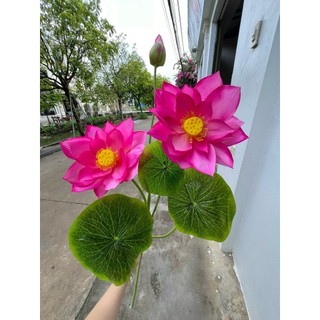 Cành Sen Nở 3 Bông 💥HÀNG CAO CẤP💥 Hoa Sen Nhiều Màu,  Trang Trí Phòng Khách, Văn Phòng, 2 Bông Nở, 1 Nụ, 3 Lá