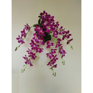 Lan Treo Tường Denro 💥HÀNG CAO CẤP💥 Lan Nữ Sao 7 Nhánh Nhiều Màu, Decor Trang Trí Nhà Cửa Siêu Sang