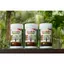 KAGREEN Phân bón sinh học KA GREEN, bổ sung vi sinh cải thiện đất, kích rễ, bung đọt, dày lá