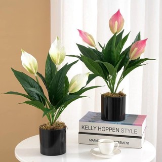 Cây Lan Ý 3 Bông 💥HÀNG CAO CẤP💥 Lan Ý 50cm Trang Trí Nội Thất Cực Sang (Không Kèm Chậu)