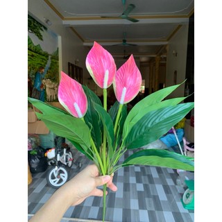 Cây Lan Ý 3 Bông 💥HÀNG CAO CẤP💥 Lan Ý 50cm Trang Trí Nội Thất Cực Sang (Không Kèm Chậu)