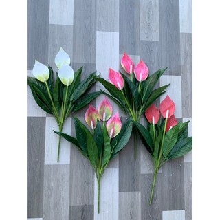 Cây Lan Ý 3 Bông 💥HÀNG CAO CẤP💥 Lan Ý 50cm Trang Trí Nội Thất Cực Sang (Không Kèm Chậu)