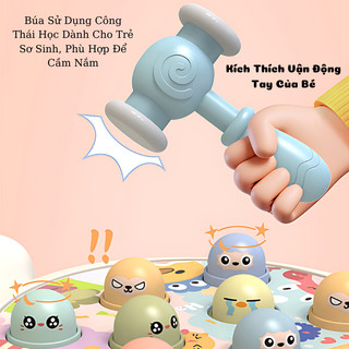 Đồ Chơi Đập Chuột Hình Hải Cẩu Kèm Bàn Xoay 360 Độ - Có Hiệu Ứng Nhạc Hấp Dẫn Giúp Tăng Cường Vận Động Tay Và Mắt Cho Bé