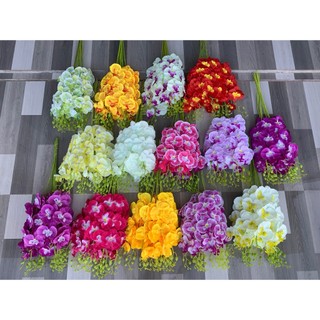 COMBO 10 Cành Lan Hồ Điệp Bé 💥HÀNG CAO CẤP💥 Lan Hồ Điệp 60cm, Thân Lan Bằng Nhựa Bọc Thép Dễ Dàng Tạo Kiểu