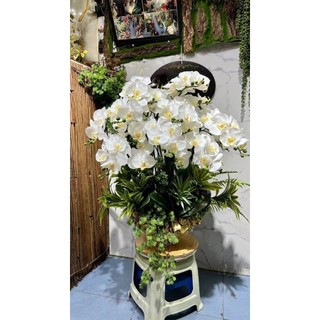 Lan Ướt 💥HÀNG CAO CẤP💥 Lan Hồ Điệp Cao Su Ướt Thân Đốm 9 Bông, Cành 95cm Dài Đẹp Trang Trí Nhà Cửa