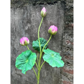 Cành Sen Búp 3 Bông 💥HÀNG CAO CẤP💥 Cành Sen Quan Âm, Hoa Sen Lụa Trang Trí Nội Thất Cực Sang