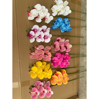 Lan Hồ Điệp Cao Su 5 Bông 💥HÀNG CAO CẤP💥 Lan Hồ Điệp 70cm Thân Thường, Nhiều Màu Phù Hợp Nhiều Phong Cách Nội Thất