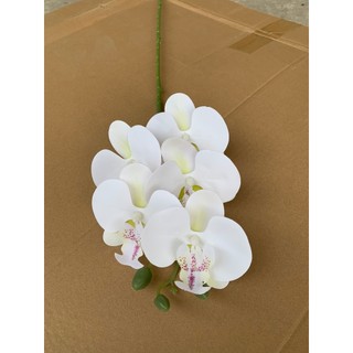 Lan Hồ Điệp Cao Su 5 Bông 💥HÀNG CAO CẤP💥 Lan Hồ Điệp 70cm Thân Thường, Nhiều Màu Phù Hợp Nhiều Phong Cách Nội Thất